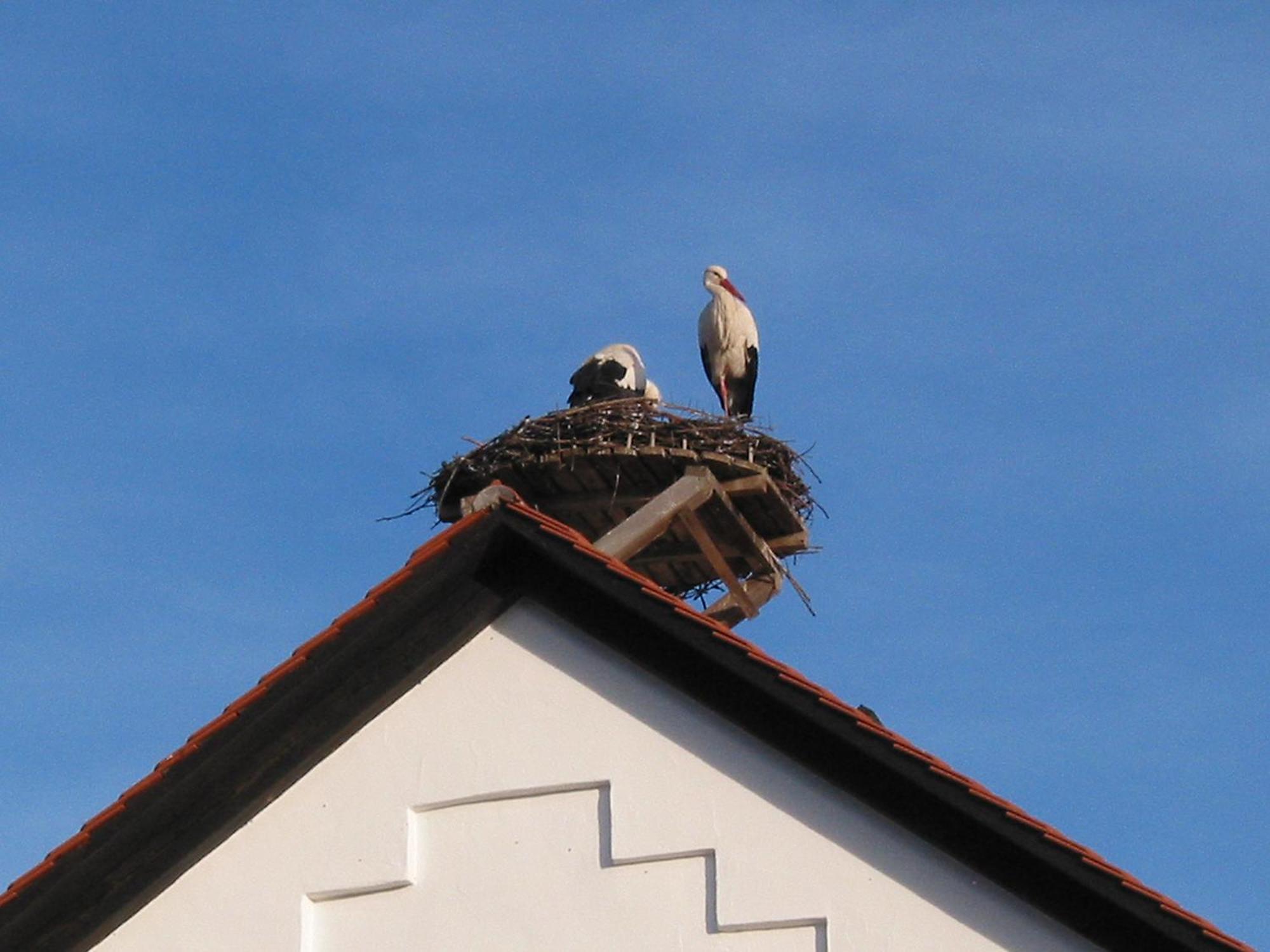 Ferienwohnung Haus Sonntag Frickingen Exterior foto